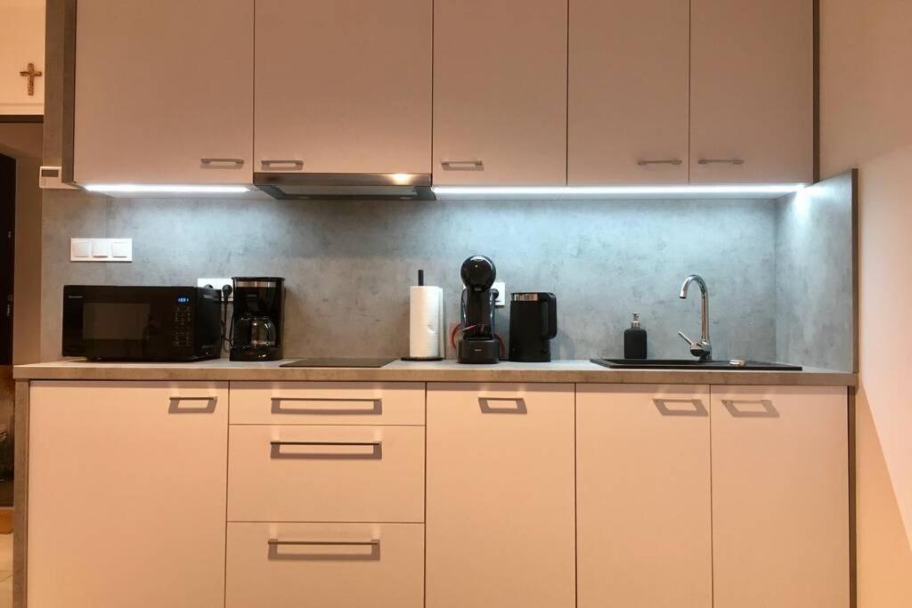 Apartament Fibra Brownie Rybnik  Luaran gambar